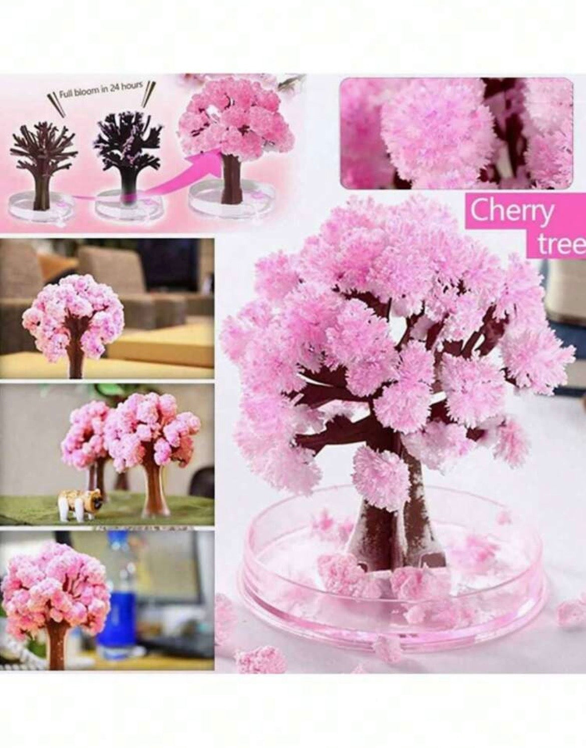 Magic Sakura Tree