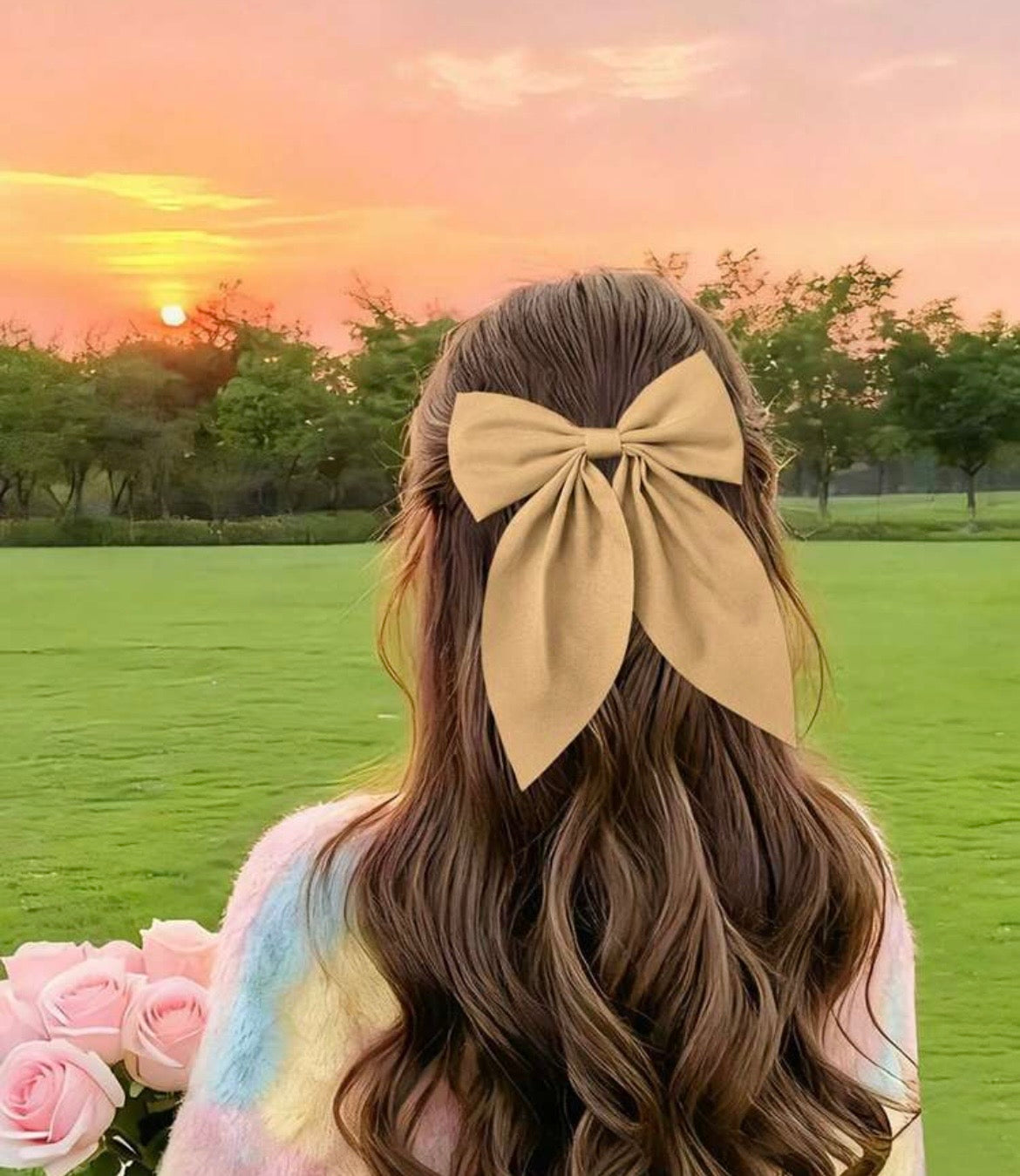 Hair bow clips